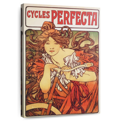Mehar Cycles Perfecta