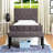 Tussey Upholstered Panel Headboard-829323916-829323917