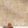 Charlotte 8.03 in. x 8.03 in. Textured Porcelain Floor and Wall Tile