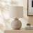 Julip Arboles Resin Accent Lamp