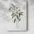 Mountain Laurel I -Gallery Wrapped Cavas-423374413