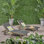 Kingsteignt Outdoor Chaise Lounge