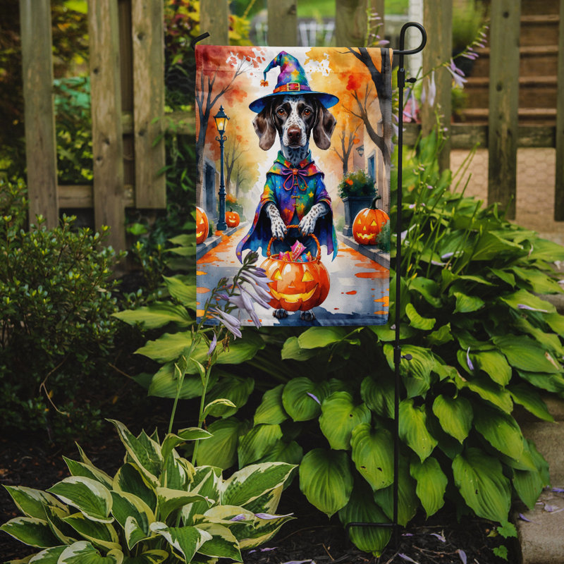 Drapeau du jardin Mastiff, Braque allemand à poil court