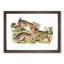 Grey Rabbits by J.W. Audubon - Picture Frame Painting Print-55736102-55736101