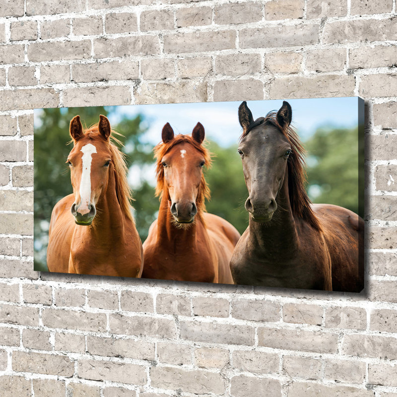 Three Horses - Print, Canvas, 70cm H x 140cm W x 2cm D