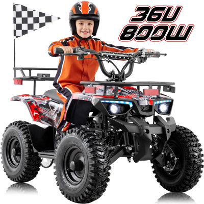 Goow Hill-Shazodza 36V Kids Electric UTV - 800W All-Terrain with Key Start & Triple Disc Brakes