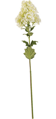 Arrangement