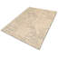 Cloud Floral Area Rug in Beige/Silver/White-40705605