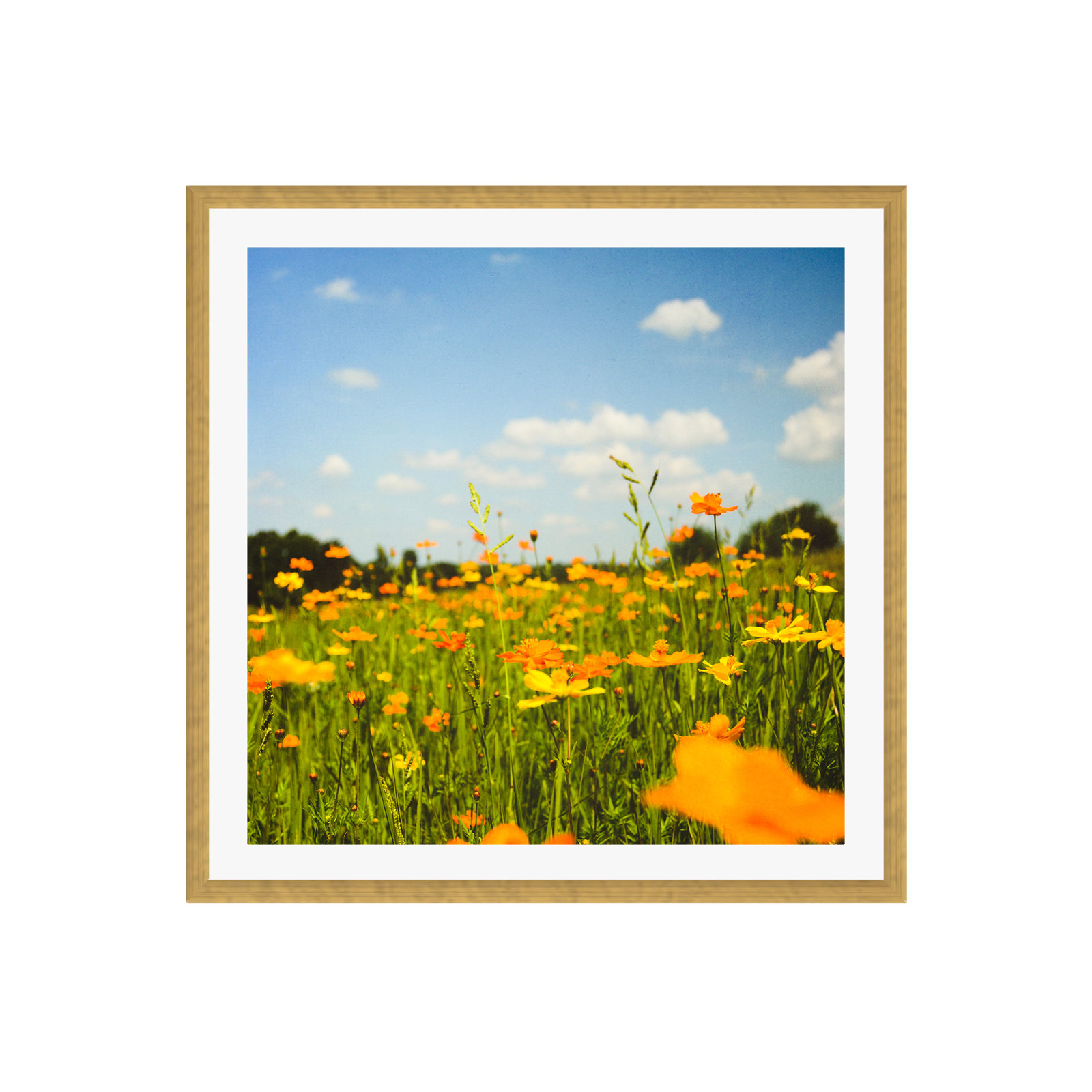 Zaxton "Summertime Good Vibes" Print, No, 12" W x 12" H, Gold Floater Framed