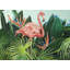 «Tropical Flamingo», reproduction encadrée avec passe-partout | Décoration de chambre animal