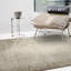 Natonia Shiny Shaggy Mink Brown Area Rug-871278941