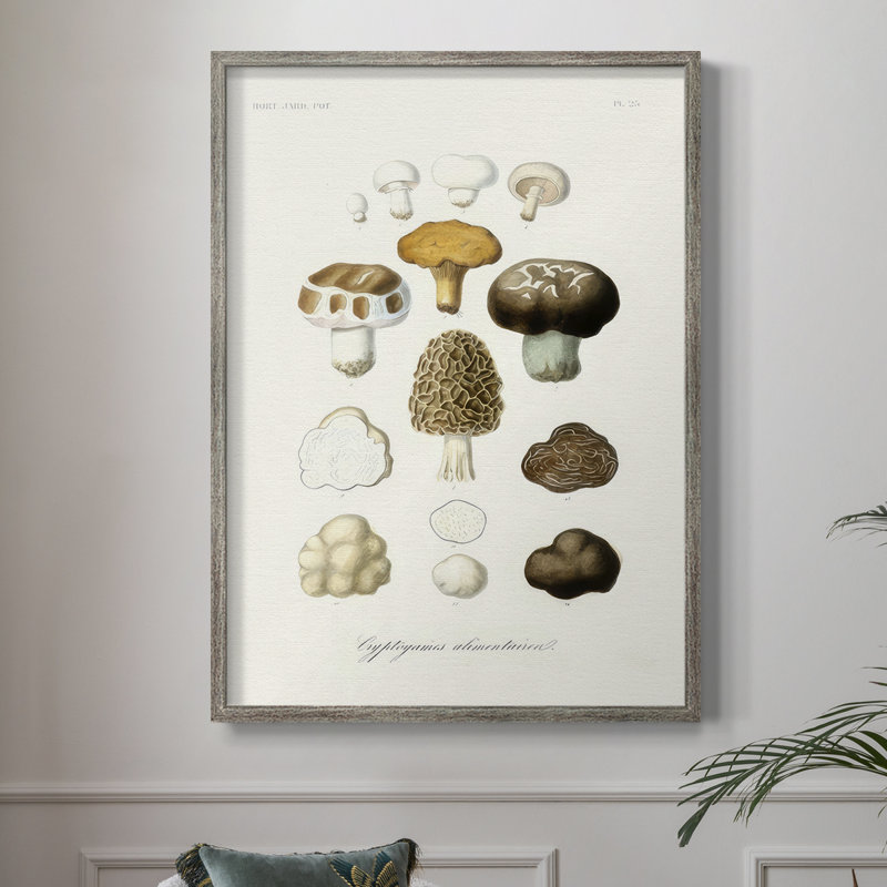 Reproduction encadrée de fruits et légumes IV - bois massif, H 11 po x l 9 po