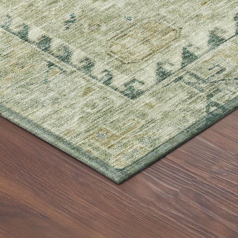 Machine Washable Indoor/Outdoor Earleville ACN2357 Traditional Rug, Rectangle 1'8" x 2'6"
