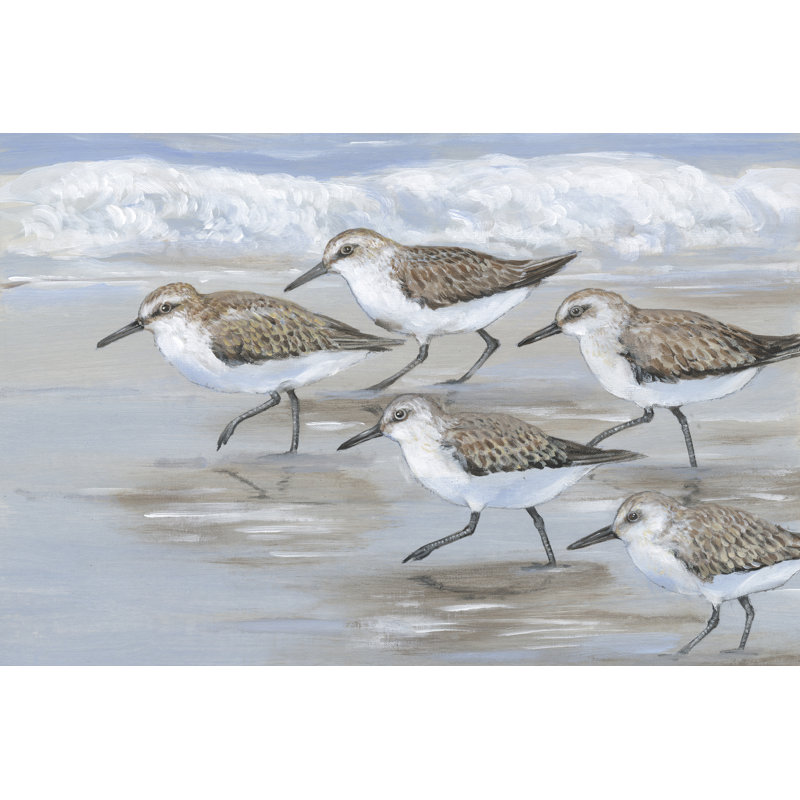 Sandpipers I - Wrapped Canvas Painting, 30 cm H x 46 cm W, Wrapped Canvas