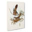 Crested Pigeons by Elizabeth Gould - Wrapped Canvas-55370748