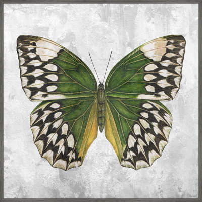 " Nature's Angel "