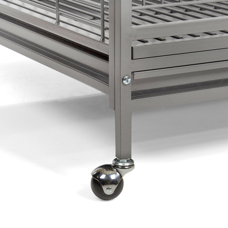 Cage de vol Charlinda, Argent