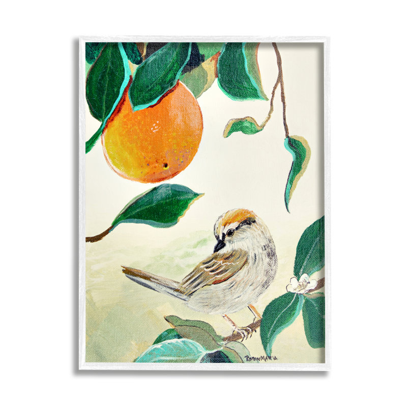 Oiseau perché avec fruit orange, H 14 po x l 11 po x P 1,5 po, Giclée encadrée blanc bord de mer