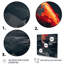 «Birchley Black and Red Tropical Fish II», reproduction sur toile-87344357-87344360