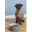 Polka Dot Dog Bowls-56471309-56471308