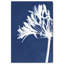 Cyan Bloom Print by Oliver Gal-987656806-987656820