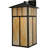 Rustic Lodge Steel Armed Sconce