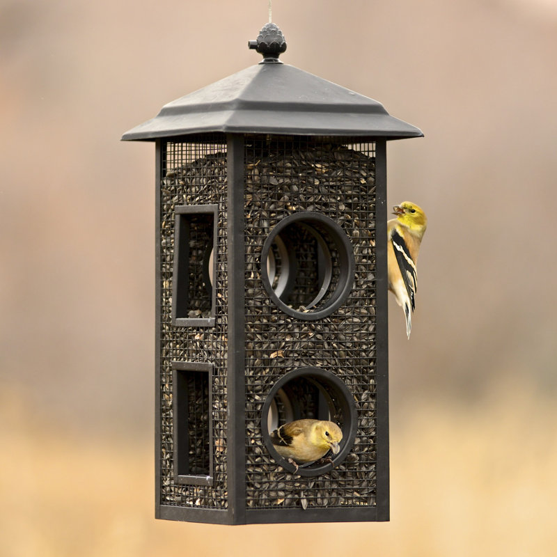 Black Metal Fly-Through Hanging Wild Bird Feeder