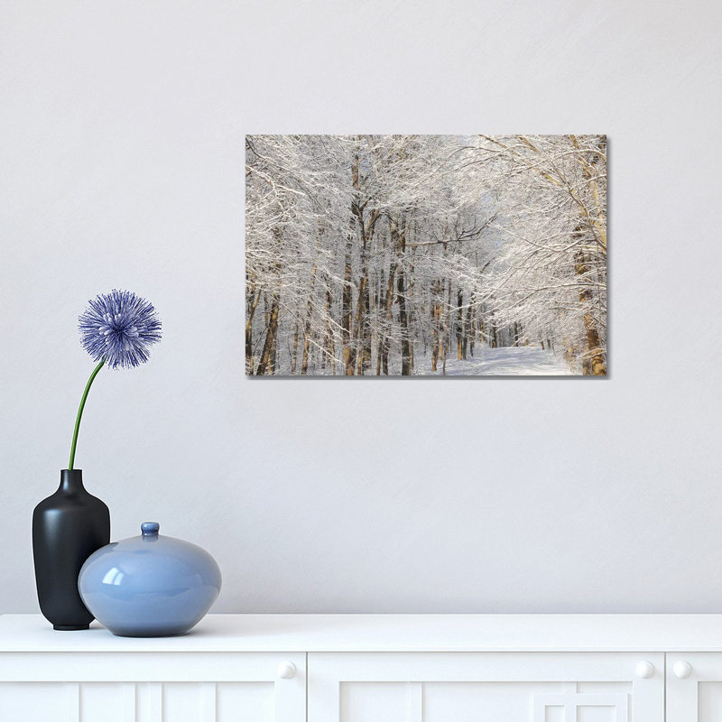 «Winter Trail» par Brian Wolf - photographie sur toile tendue, H 12 po x l 18 po x 1,5 po