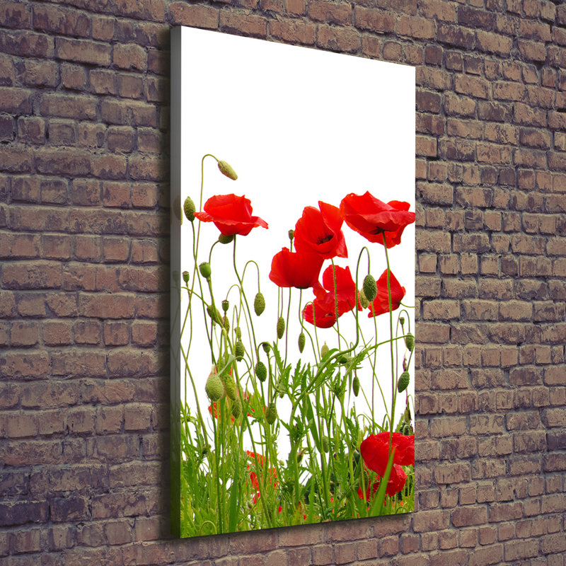 Field Poppies - Wrapped Canvas Print