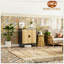 Buffet de 31,5 po avec 2 portes et tablettes en rotin