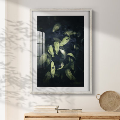 Dramatic Foliage II - Impression encadrée