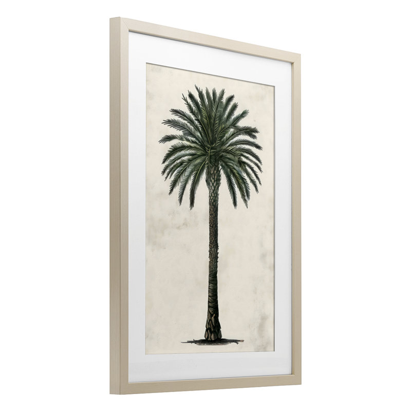 «Botanical Rounded Palm Tree», reproduction encadrée sous verre, design par LSR Design Studio, Cadre de récolte en pin
