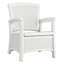 Elements Patio Chair -20347313