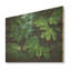 Toile émeraude, forêt tropicale, feuilles - Art mural en bois sur bois de pin naturel-333668163