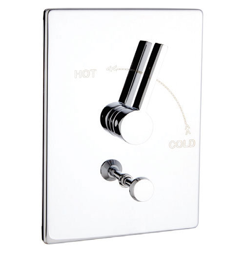 Rectangle Pressure Balance T&S Complete with Valve, Polished Chrome