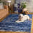 Rumi Shag Performance Rug-1954167110