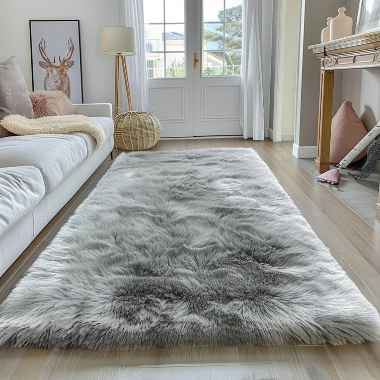 Indoor Rug