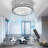 Delena 20'' Ceiling Fan with LED Lights