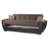 Upholstered 93.5'' Sleeper Sofa-1861842382