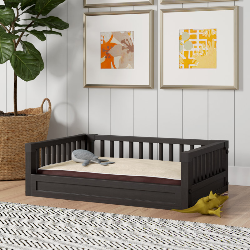 Canapé pour chien avec coussin amovible Ace, Grand (l 34,4 po P 23,2 po x H 10,2 po), Express