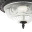 Catherine Traditional and Classic Ornate and Floral Glass Flush Ceiling Light Fitting-98713035