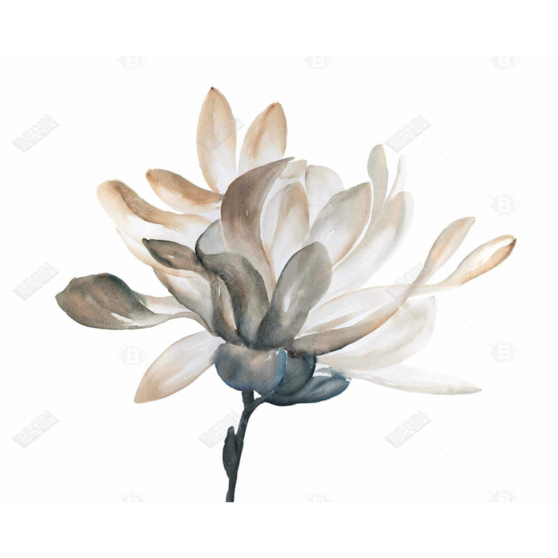" Softness "