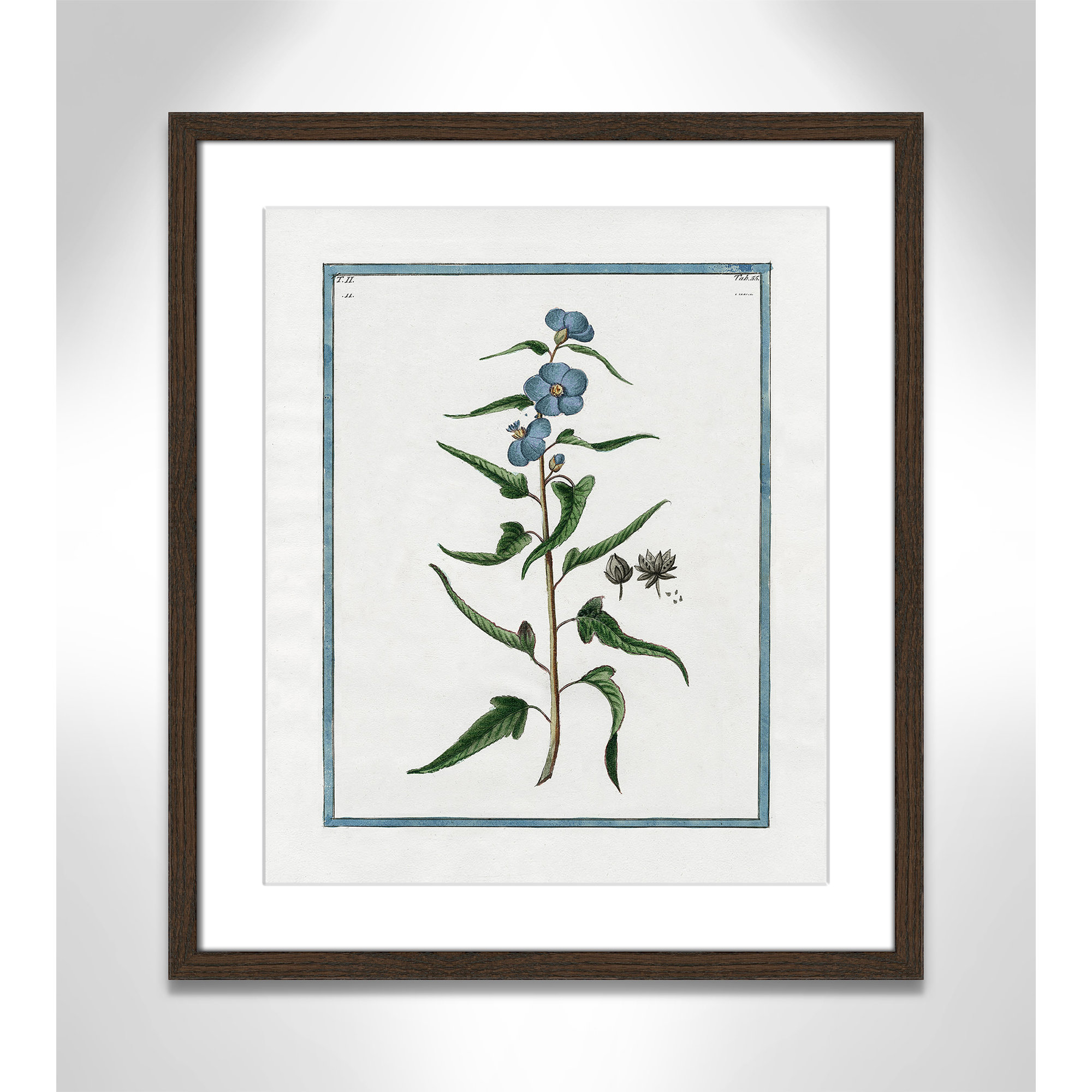 Shabby Elegance Botanical I - Framed Art Full Bleed, 16" W x 19" H, Walnut Framed