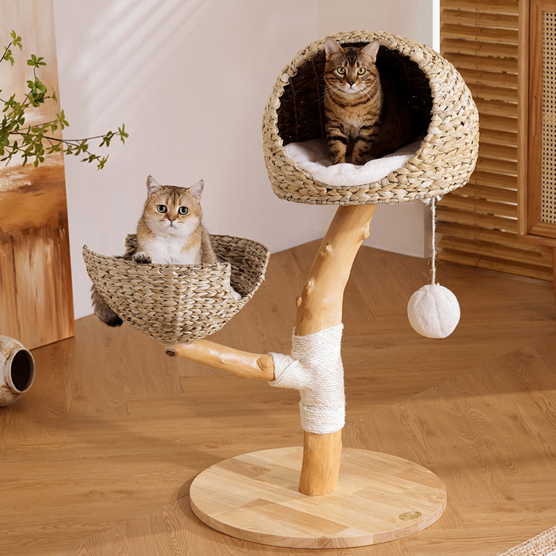 Structure d'escalade pour chat