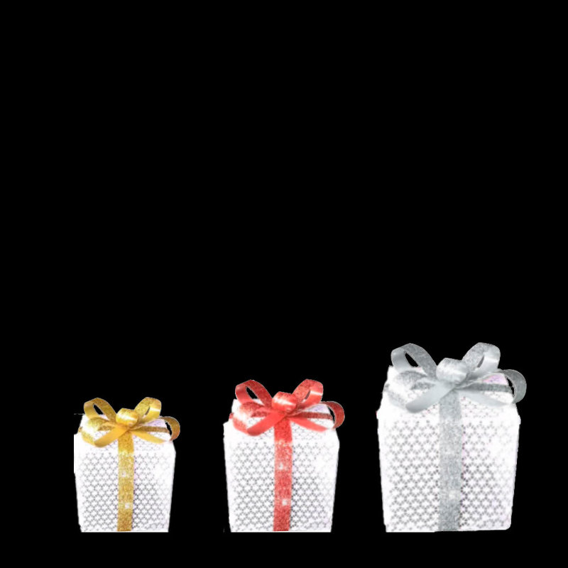 Ensemble de boîtes-cadeaux 3 pièces