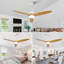 Ventilateurs de plafond avec lumières-462828718-462828715-462828713