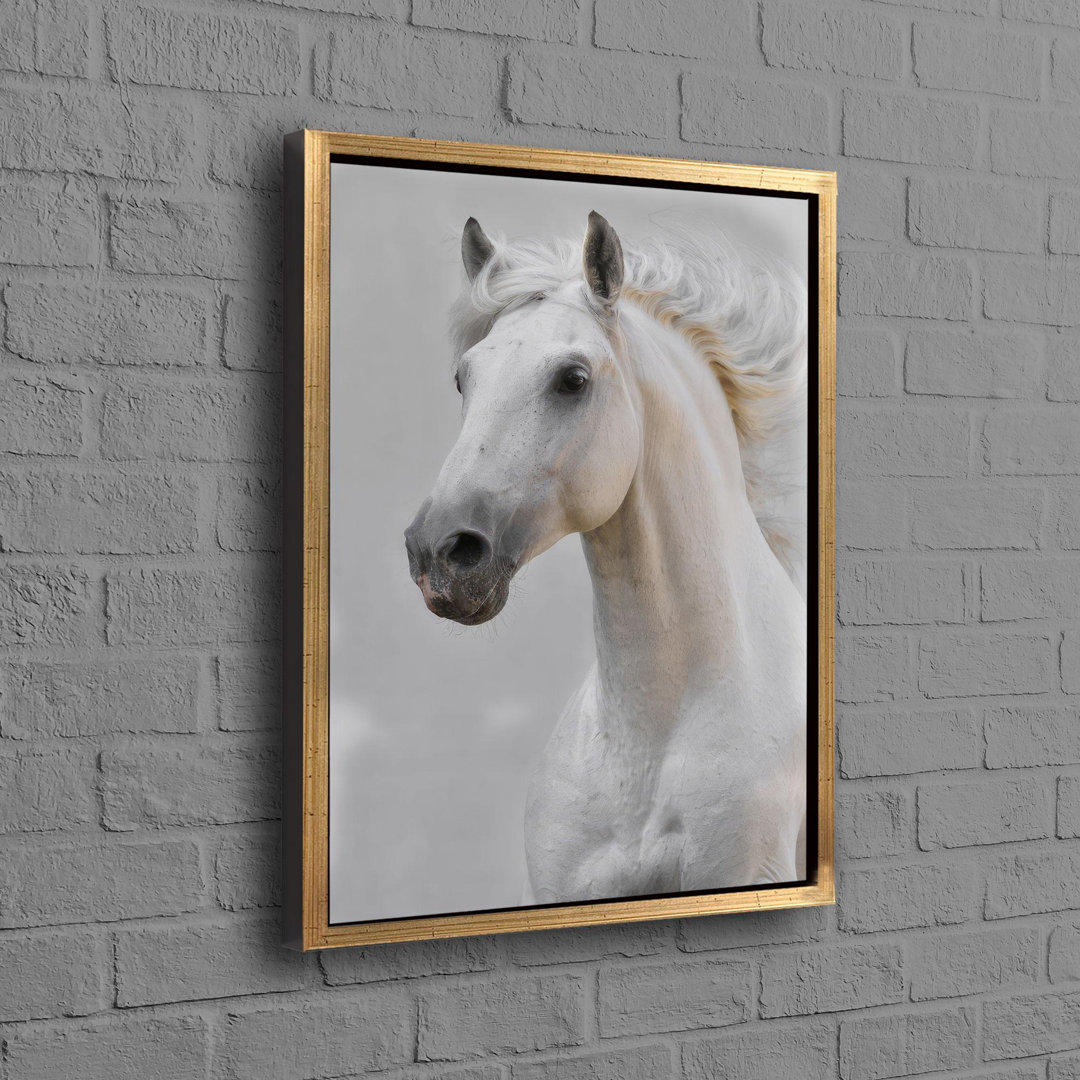 Large Horse Canvas Art Poster Ideal for Enhancing The Aesthetic Appeal of Your Living Room