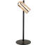 Beverlie Iron Desk Lamp