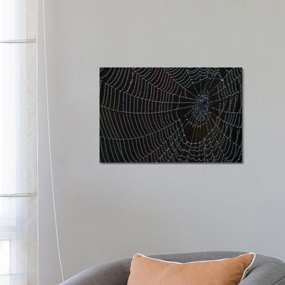 Spider's Web With Morning Dew by Brian Wolf - Wrapped Canvas Gallery-Wrapped Canvas Giclée