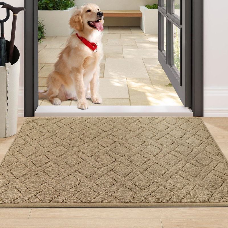 Paillasson Dioselina, Beige, L 32 po x L 48 po